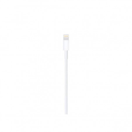 Cable Lightning a USB Original Apple (1M)