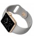 Apple Watch Series 2 38 mm Gris cemento y Oro